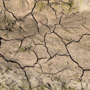 Çatlak yeryüzü arka planı. Toprak yüzeyinde çatlaklar var. Çamur çatlakları.