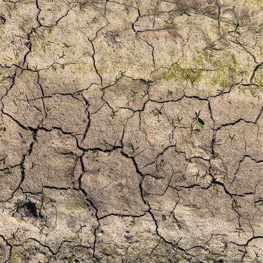 Çatlak yeryüzü arka planı. Toprak yüzeyinde çatlaklar var. Çamur çatlakları.