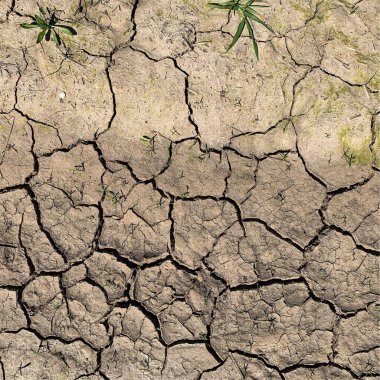 Çatlak yeryüzü arka planı. Toprak yüzeyinde çatlaklar var. Çamur çatlakları.