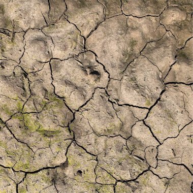 Çatlak yeryüzü arka planı. Toprak yüzeyinde çatlaklar var. Çamur çatlakları.