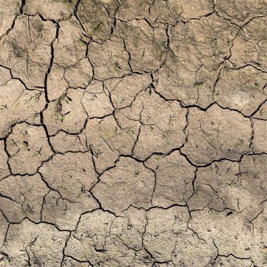 Çatlak yeryüzü arka planı. Toprak yüzeyinde çatlaklar var. Çamur çatlakları.