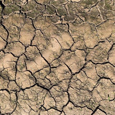 Çatlak yeryüzü arka planı. Toprak yüzeyinde çatlaklar var. Çamur çatlakları.