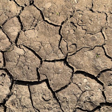 Çatlak yeryüzü arka planı. Toprak yüzeyinde çatlaklar var. Çamur çatlakları.