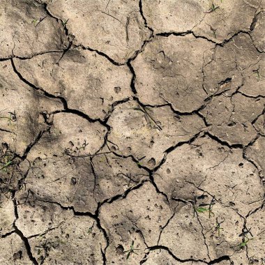 Çatlak yeryüzü arka planı. Toprak yüzeyinde çatlaklar var. Çamur çatlakları.