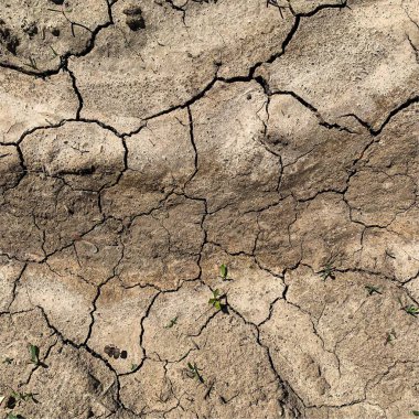 Çatlak yeryüzü arka planı. Toprak yüzeyinde çatlaklar var. Çamur çatlakları.