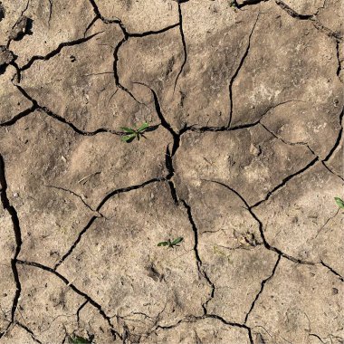 Çatlak yeryüzü arka planı. Toprak yüzeyinde çatlaklar var. Çamur çatlakları.