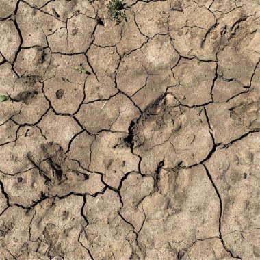 Çatlak yeryüzü arka planı. Toprak yüzeyinde çatlaklar var. Çamur çatlakları.