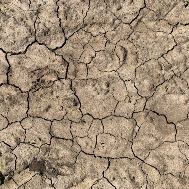 Çatlak yeryüzü arka planı. Toprak yüzeyinde çatlaklar var. Çamur çatlakları.