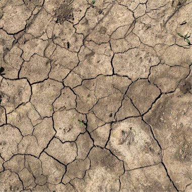 Çatlak yeryüzü arka planı. Toprak yüzeyinde çatlaklar var. Çamur çatlakları.