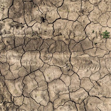 Çatlak yeryüzü arka planı. Toprak yüzeyinde çatlaklar var. Çamur çatlakları.