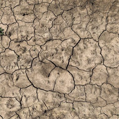 Çatlak yeryüzü arka planı. Toprak yüzeyinde çatlaklar var. Çamur çatlakları.