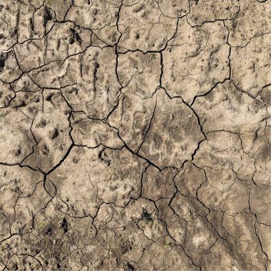 Çatlak yeryüzü arka planı. Toprak yüzeyinde çatlaklar var. Çamur çatlakları.