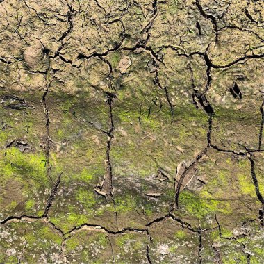 Çatlak yeryüzü arka planı. Toprak yüzeyinde çatlaklar var. Çamur çatlakları.