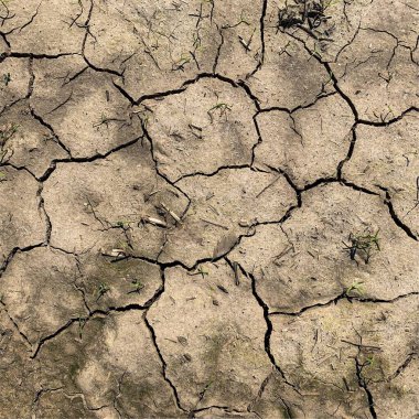 Çatlak yeryüzü arka planı. Toprak yüzeyinde çatlaklar var. Çamur çatlakları.