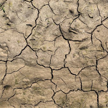 Çatlak yeryüzü arka planı. Toprak yüzeyinde çatlaklar var. Çamur çatlakları.