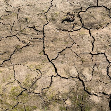 Çatlak yeryüzü arka planı. Toprak yüzeyinde çatlaklar var. Çamur çatlakları.