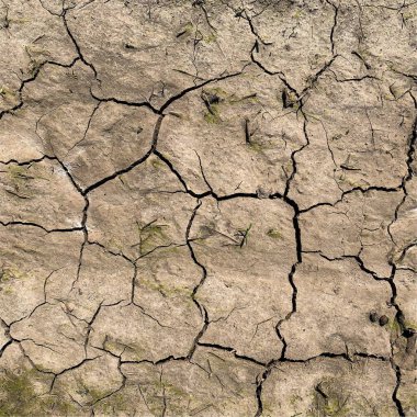 Çatlak yeryüzü arka planı. Toprak yüzeyinde çatlaklar var. Çamur çatlakları.