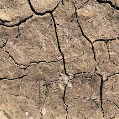Çatlak yeryüzü arka planı. Toprak yüzeyinde çatlaklar var. Çamur çatlakları.