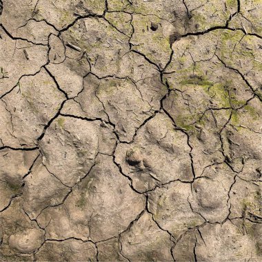 Çatlak yeryüzü arka planı. Toprak yüzeyinde çatlaklar var. Çamur çatlakları.