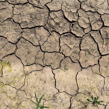 Çatlak yeryüzü arka planı. Toprak yüzeyinde çatlaklar var. Çamur çatlakları.