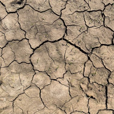 Çatlak yeryüzü arka planı. Toprak yüzeyinde çatlaklar var. Çamur çatlakları.