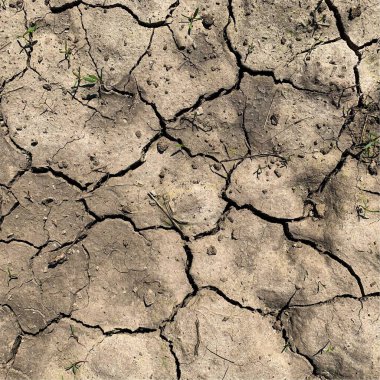 Çatlak yeryüzü arka planı. Toprak yüzeyinde çatlaklar var. Çamur çatlakları.
