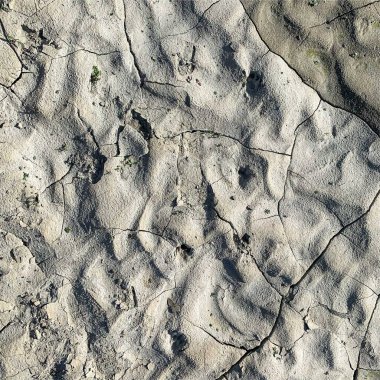 Çatlak yeryüzü arka planı. Toprak yüzeyinde çatlaklar var. Çamur çatlakları.
