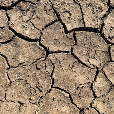 Çatlak yeryüzü arka planı. Toprak yüzeyinde çatlaklar var. Çamur çatlakları.