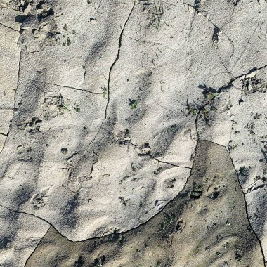 Çatlak yeryüzü arka planı. Toprak yüzeyinde çatlaklar var. Çamur çatlakları.