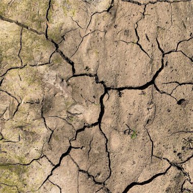 Çatlak yeryüzü arka planı. Toprak yüzeyinde çatlaklar var. Çamur çatlakları.
