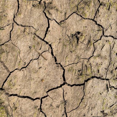 Çatlak yeryüzü arka planı. Toprak yüzeyinde çatlaklar var. Çamur çatlakları.