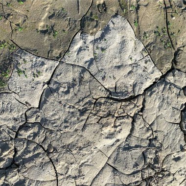 Çatlak yeryüzü arka planı. Toprak yüzeyinde çatlaklar var. Çamur çatlakları.