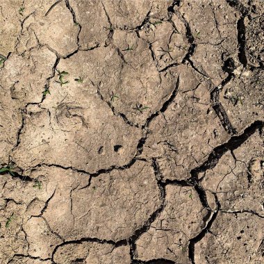 Çatlak yeryüzü arka planı. Toprak yüzeyinde çatlaklar var. Çamur çatlakları.