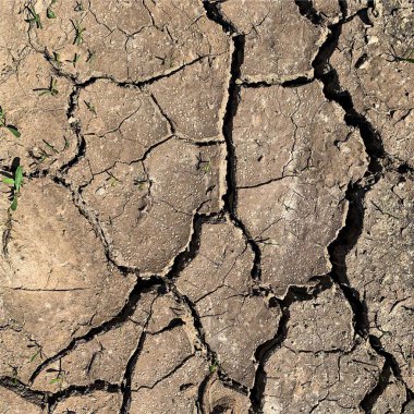 Çatlak yeryüzü arka planı. Toprak yüzeyinde çatlaklar var. Çamur çatlakları.