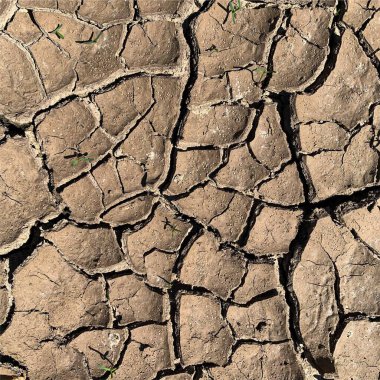 Çatlak yeryüzü arka planı. Toprak yüzeyinde çatlaklar var. Çamur çatlakları.