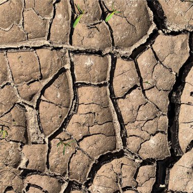 Çatlak yeryüzü arka planı. Toprak yüzeyinde çatlaklar var. Çamur çatlakları.