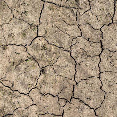 Çatlak yeryüzü arka planı. Toprak yüzeyinde çatlaklar var. Çamur çatlakları.