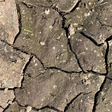 Çatlak yeryüzü arka planı. Toprak yüzeyinde çatlaklar var. Çamur çatlakları.