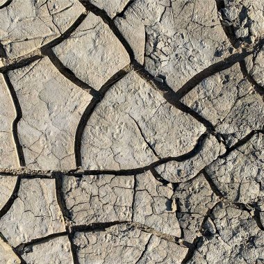 Çatlak yeryüzü arka planı. Toprak yüzeyinde çatlaklar var. Çamur çatlakları.