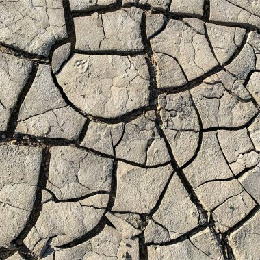 Çatlak yeryüzü arka planı. Toprak yüzeyinde çatlaklar var. Çamur çatlakları.