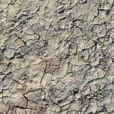 Çatlak yeryüzü arka planı. Toprak yüzeyinde çatlaklar var. Çamur çatlakları.
