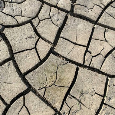 Çatlak yeryüzü arka planı. Toprak yüzeyinde çatlaklar var. Çamur çatlakları.