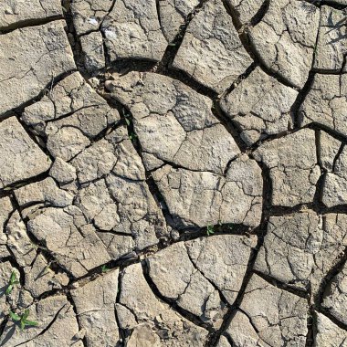 Çatlak yeryüzü arka planı. Toprak yüzeyinde çatlaklar var. Çamur çatlakları.