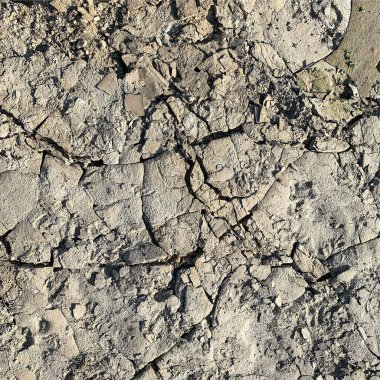 Çatlak yeryüzü arka planı. Toprak yüzeyinde çatlaklar var. Çamur çatlakları.