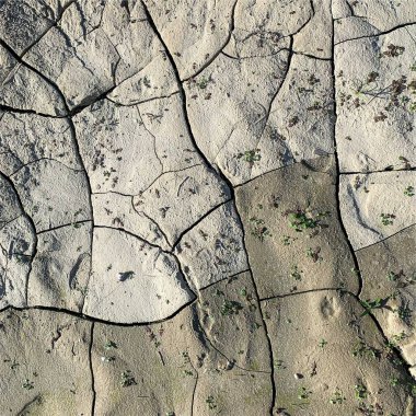 Çatlak yeryüzü arka planı. Toprak yüzeyinde çatlaklar var. Çamur çatlakları.