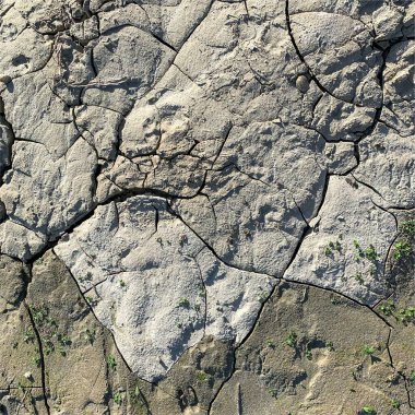 Çatlak yeryüzü arka planı. Toprak yüzeyinde çatlaklar var. Çamur çatlakları.