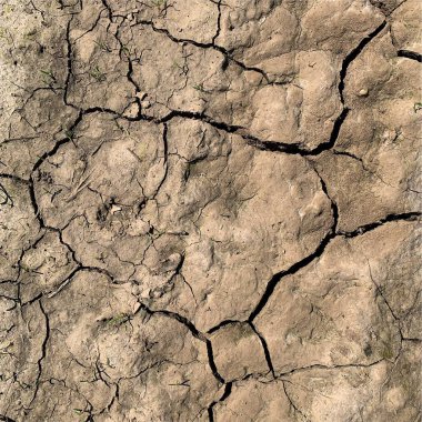 Çatlak yeryüzü arka planı. Toprak yüzeyinde çatlaklar var. Çamur çatlakları.