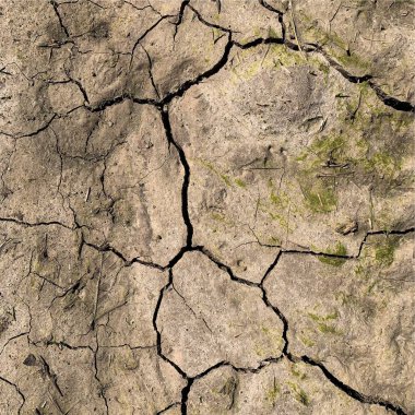 Çatlak yeryüzü arka planı. Toprak yüzeyinde çatlaklar var. Çamur çatlakları.