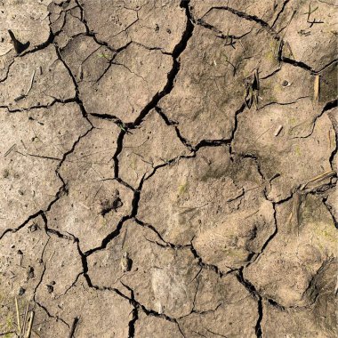 Çatlak yeryüzü arka planı. Toprak yüzeyinde çatlaklar var. Çamur çatlakları.