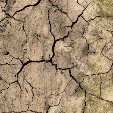 Çatlak yeryüzü arka planı. Toprak yüzeyinde çatlaklar var. Çamur çatlakları.